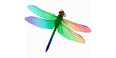 neon-counselling-logo